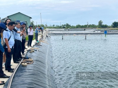 Doanh nghiệp thủy sản thay đổi mô hình quản lý, giúp nông dân thích ứng sau đại dịch
