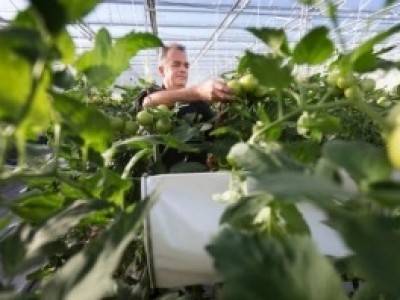 Bạn hiểu thế nào là một nền nông nghiệp bền vững?