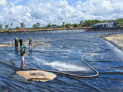 Quản lý ao nuôi khi trời lạnh: Bảo vệ đàn tôm khi nhiệt độ thấp