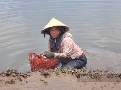 Bắt con nghe tên đã biết 