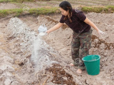 Một số mẹo giúp nông dân cắt giảm chi phí phân bón