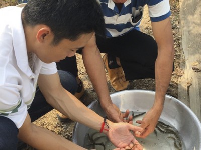 Khánh Hòa với tiềm năng nuôi một loài cá đặc sản