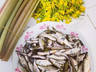 Cá linh non đầu mùa, đặc sản mùa nước nổi An Giang, sản vật trời cho