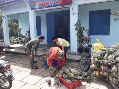 Trồng khóm, chế biến trái khóm bán khắp nơi, bán sang cả Nhật, một người Phú Yên là Nông dân Việt Nam xuất sắc 2022