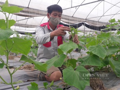 Thái Nguyên: Một tay ôm đồm trồng cây cảnh, đủ thứ hoa, rau màu, vì sao anh nông dân nhàn mà vẫn kiếm bộn tiền?