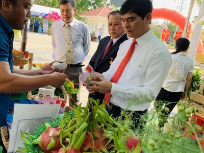 Thanh long Bình Thuận giá có lời, sản lượng 30.000-35.000 tấn bán ra thị trường dịp 30/4 và 1/5