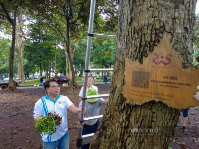 Hơn 3.000 nhánh lan rừng của người yêu lan cả nước được ghép lên cây ở phố núi Ban Mê của Đắk Lắk