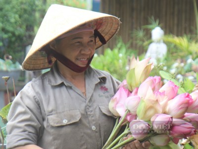 Bỏ phố về làng trồng loại hoa gì mà chàng trai Nghệ An làm ra tới 11 sản phẩm OCOP, thu 15 tỷ/năm?