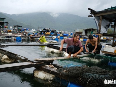 Vận động người nuôi cá lồng bè lên bờ tránh bão