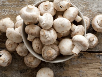 Loại nấm được cho là 