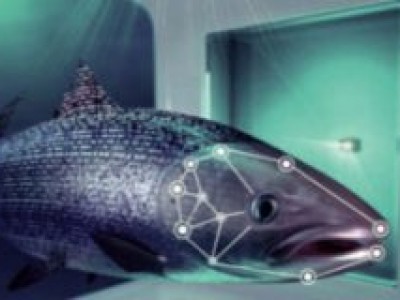 Những sản phẩm mới từ chất thải trong ao cá