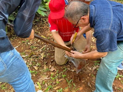 Xuất khẩu sầu riêng bền vững: Cải tạo đất, ‘rửa’ Cadimi