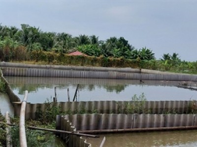 Nuôi loài đặc sản tối ngày lặn dưới ao, hễ đẻ là mò lên cạn, ông nông dân Hậu Giang bán đắt hàng