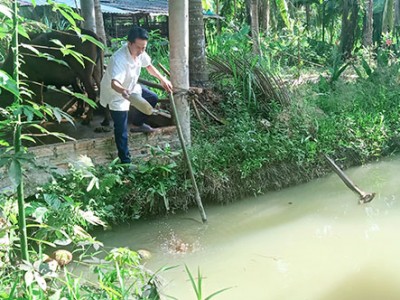 Chuyện lạ Tiền Giang, nuôi sâu để bắt sâu nuôi cá, nông dân khá lên