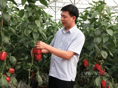 Bắt tay với 100 hộ nông dân, 8X quê Hà Tĩnh đưa nông sản Đà Lạt vào siêu thị khắp nước