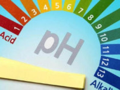 Lý do pH thay đổi giữa buổi sáng và buổi chiều