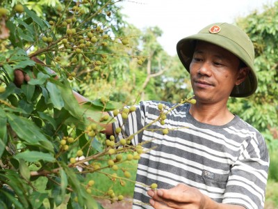 Nâng tầm nông sản từ những mô hình trang trại bền vững