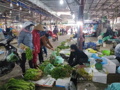 Giá rau ở Hà Nội tăng cao vút, ra đồng cắt bán hàng tấn, nông dân thu lãi hàng trăm triệu đồng/ha