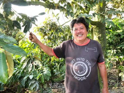 Trồng loại cây đang hot này, kể cả có bán trái giá bình dân thì ông nông dân Lâm Đồng vẫn nắm tiền tỷ