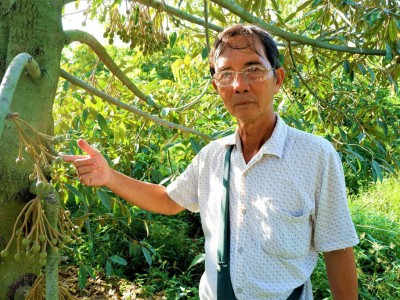 Bến Tre: Lão nông ươm toàn cây giống lạ hoắc, ươm kiểu gì mà lần nào khách hỏi cũng 