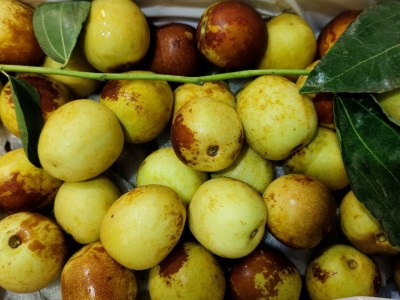 Loại táo Trung Quốc nhìn như bị thối, đắt gấp 3 lần táo Mỹ, chị em háo hức mua bằng được