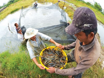 Nỗ lực vượt thách thức