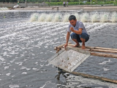 Ứng phó với nắng nóng gay gắt kéo dài