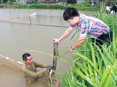 Một số giải pháp phòng, chống dịch bệnh thủy sản trong mùa mưa bão