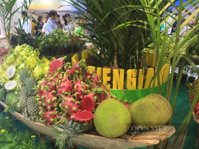 Sầu riêng VIP, thanh long màu lạ, mắm tôm chà và cả trăm đặc sản OCOP Tiền Giang về TP.HCM