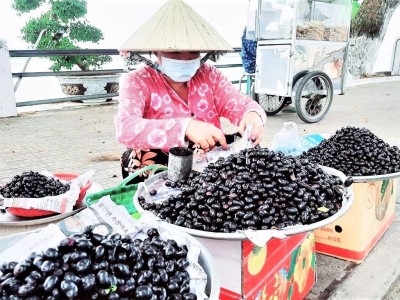 Thứ cây hiếm ai trồng, ra từng chùm trái dại tím đen ở An Giang, ấy thế mà thành đặc sản nhiều người vồ vập