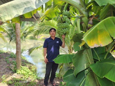 Một tỷ phú Bình Dương trồng cây đặc sản ra quả ngon, doanh thu 2 tỷ/năm