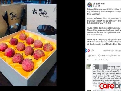 Siêu phẩm vải thiều Lục Ngạn Việt Nam: Đóng gói như tổ yến, 1 triệu đồng mới mua được 1 hộp 12 quả