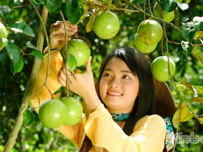 Vùng Chợ Giữa Vĩnh Kim vang bóng một thời ở Tiền Giang, là 