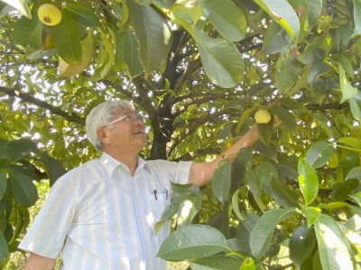 Vườn măng cụt 20ha đẹp như phim của một tỷ phú nông dân Long An, nói tên phát nhiều người nhận ra
