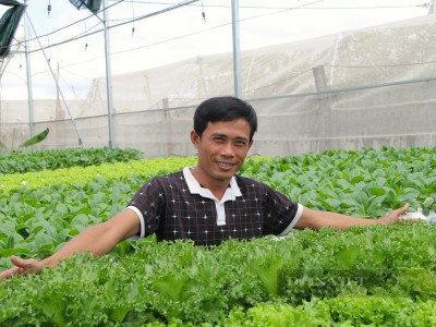 Trồng rau kiểu gì chả thấy sâu bọ đâu cả, có thể cắt ăn 