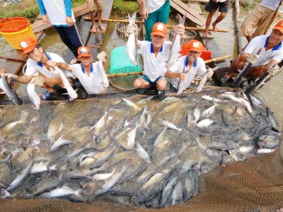 Mỹ, Trung Quốc ráo riết thu mua, Việt Nam thu ngay 2,5 tỷ USD nhờ bán đủ loại tôm, cá