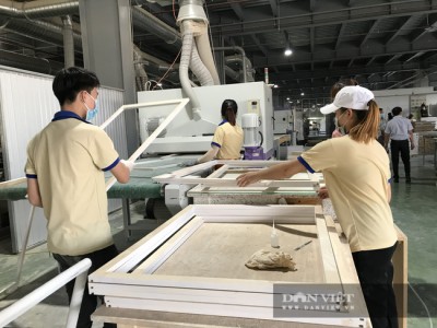 Mỹ chi tới 3,12 tỷ USD mua một loại nông sản của Việt Nam nhưng doanh nghiệp vẫn phải chú ý điều này