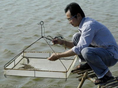 Ngăn chặn dịch bệnh trên tôm